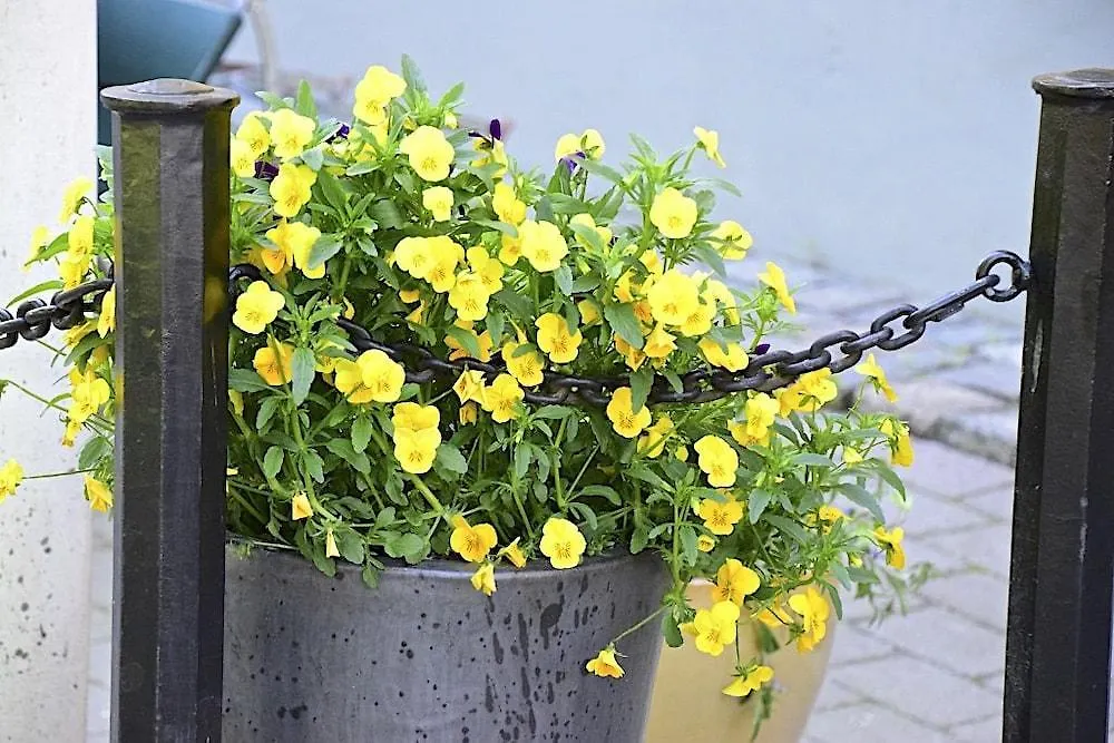 *** Hotel Langholmen Hotell Stockholm Sweden
